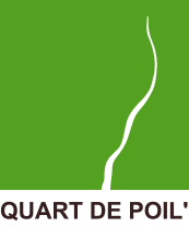 Logo Quart de Poil Design Carton et cuir recyclé